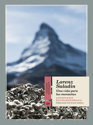 cover image of Lorenz Saladin